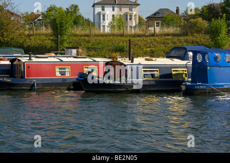 Narrow Boats Moored On The Riverbank River Thames Surrey England Stock Photo