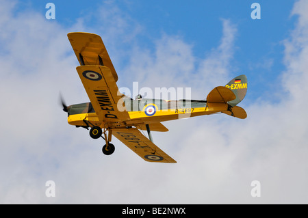 British de Havilland DH.82 Tiger Moth biplane, Europe's largest meeting of vintage planes at Hahnweide, Kirchheim-Teck, Baden-W Stock Photo