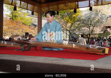 Japanese woman playing a koto, Japanese zither, Hirano Shrine, Kyoto, Japan, East Asia, Asia Stock Photo