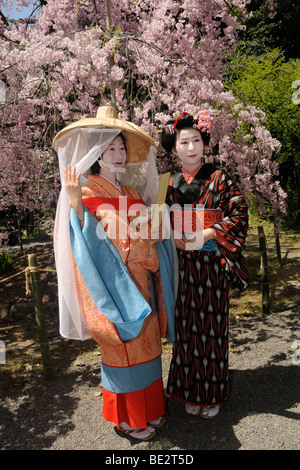 Japanese women in costumes from the Heian period, procession participants, Hirano Shrine, Kyoto, Japan, East Asia, Asia Stock Photo