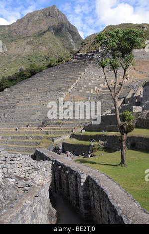 Zona agricola terraces, Inca settlement, Quechua settlement, Machu Picchu, Peru, South America, Latin America Stock Photo