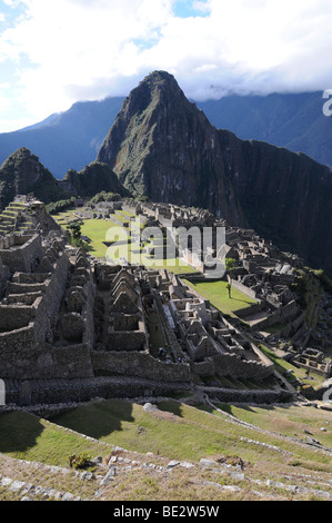 Machu Picchu, Inca settlement, Quechua settlement, Peru, South America, Latin America Stock Photo