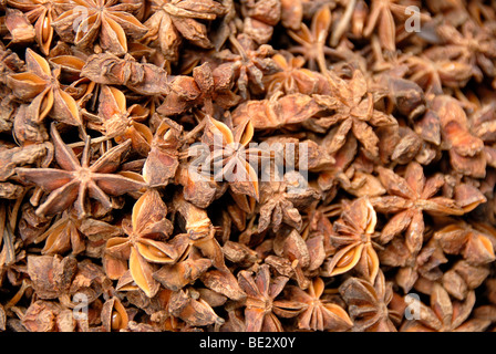 Star anise (Illicium verum) Stock Photo