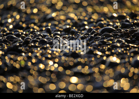 Pebbles on a beach, Nienhagen, Mecklenburg-Western Pomerania, Germany, Europe Stock Photo