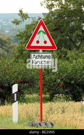 Funny traffic signboards hi-res stock photography and images - Alamy