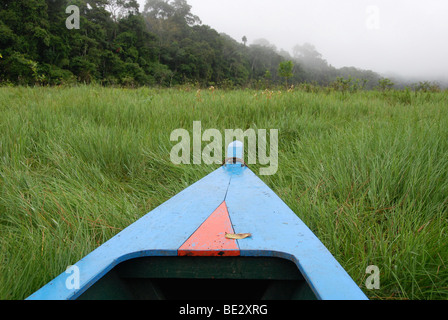 Bow of a boat, Lago Tres Chimbadas, Rainforest, Amazonas, Peru, South America, Latin America Stock Photo