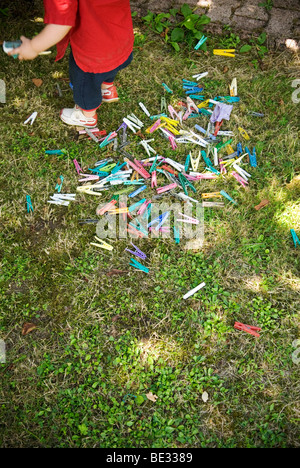 looking down at scattered multi coloured clothes pegs on grass lawn being picked up by partly cropped young child Stock Photo