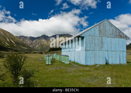 Blue corrugated iron hut with beehives on a meadow, Rainbow Track, South Island, New Zealand Stock Photo