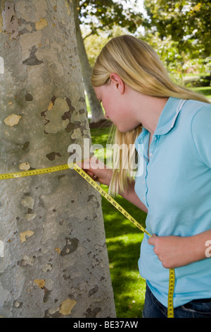 11-12 year old child  measures the circumference, in centimeters, of a Sycamore tree trunk nature, natural surroundings young person people  MR  © Myrleen Pearson Stock Photo
