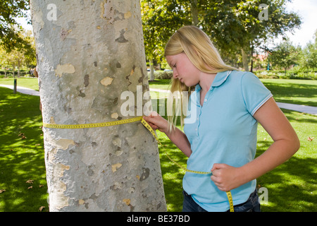 11-12 year old child measures the circumference centimeters Sycamore tree trunk with a measuring tape young person people nature natural surroundings Stock Photo