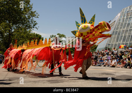 Dragon dancers march in a parade. The dragon dance is usually the highlight of the New Years celebration for the Chinese. Stock Photo