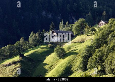 Mountain farm in Huettschlag in the Grossarltal valley, Pongau, Land Salzburg, Salzburg, Austria, Europe Stock Photo