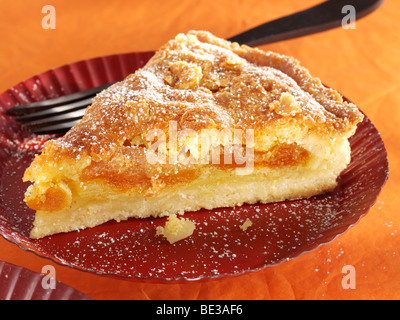 Apricot cake sprinkled with sugar on a plate with a fork Stock Photo
