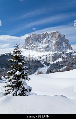 Sassolungo mountain (3181m), Val Gardena, Dolomites, South Tirol, Trentino Alto-Adige, Italy Stock Photo