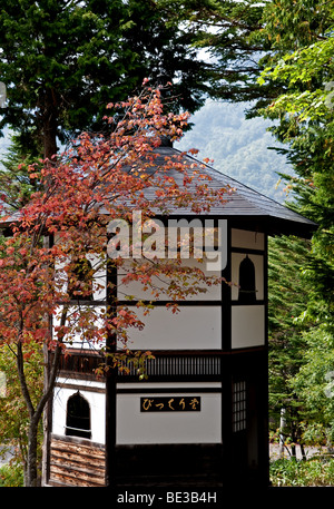 Traditional Japanese building in the fall Stock Photo