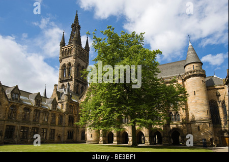 Hunterian Museum, Glasgow, Scotland, United Kingdom, Europe Stock Photo