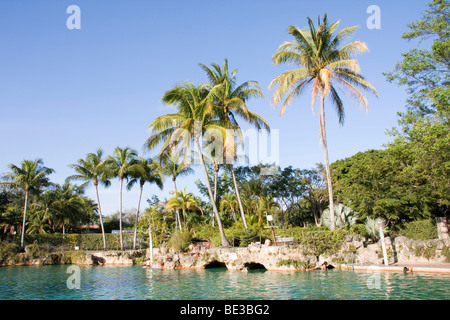 Swimming pool, Venetian Pools in Coral Gables, Miami, Florida, USA Stock Photo