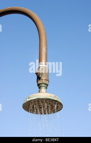 Shower head with water Stock Photo