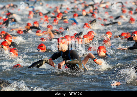 Triathlon, swimming competition, Ironman Germany, Frankfurt, Hesse, Germany, Europe Stock Photo
