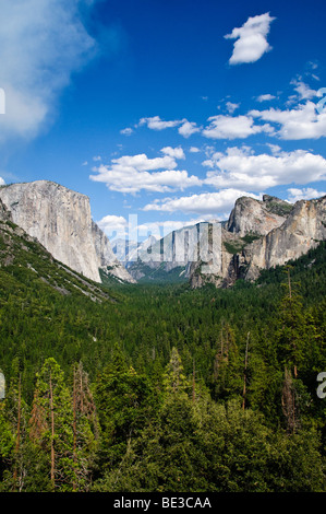 El Capitan And Half Dome Yosemite Valley Yosemite National Park California | YOSEMITE NATIONAL PARK, California — El Capitan and Half Dome frame the forested expanse of Yosemite Valley beneath a sky scattered with cumulus clouds, viewed from the Tunnel View overlook. Half Dome, visible through the valley's central notch, is missing roughly half its original dome shape, sheared away by glacial ice and rockfall over thousands of years. Yosemite became a national park in 1890. Stock Photo