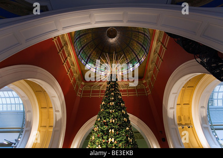 Christmas tree under the dome of the Queen Victoria Building.  Sydney, New South Wales, AUSTRALIA Stock Photo