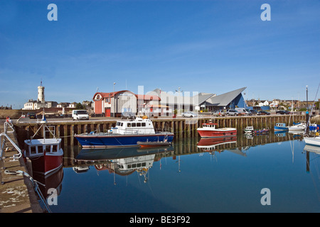 SONY DSC Stock Photo