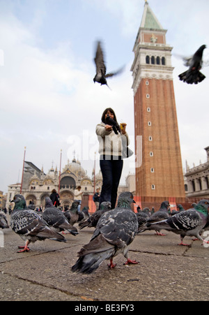 Tourists feeding pigeons on Piazza San Marco Square, Venice, Italy, Europe Stock Photo