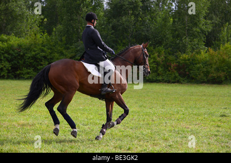 Man galloping on horseback across a green meadow Stock Photo