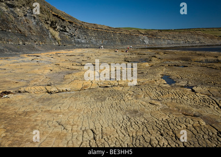 Dolomite rock formations at Kimmeridge Bay on the Isle of Purbeck, on the Dorset coast of England Stock Photo