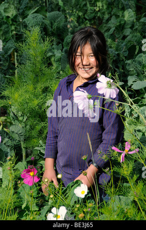 Ladakhi girl in a typical vegetable and flower garden in Leh, Ladakh, Northern India, the Himalayas, Asia