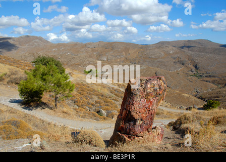 Petrified tree stump, petrified forest between Sigri and Antissa, Lesbos Island, Aegean Sea, Greece, Europe Stock Photo