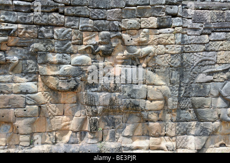 Relief of an elephant, Terrace of the Elephants, Angkor, Cambodia, Asia Stock Photo