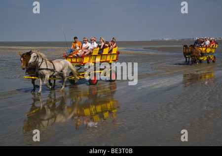 Germany, Lower Saxony, North Sea, tourists traverse the mudflats from Neuwerk Island to Cuxhaven by horse carriages at low tide Stock Photo