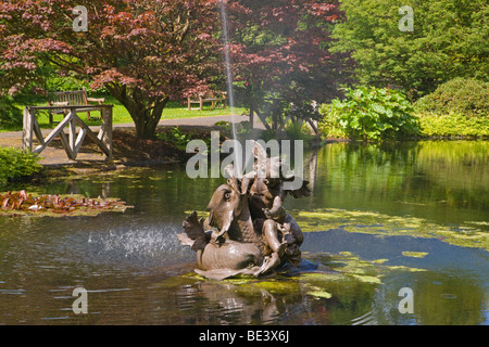 Pond, fountain, Benmore Younger Botanic Garden, Argyl and Bute, Scotland. June, 2009 Stock Photo