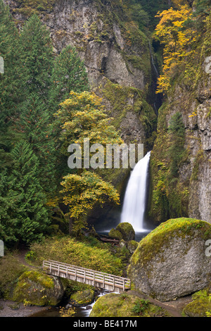 Wahclella Falls, Columbia River Gorge National Scenic Area, Oregon, USA Stock Photo