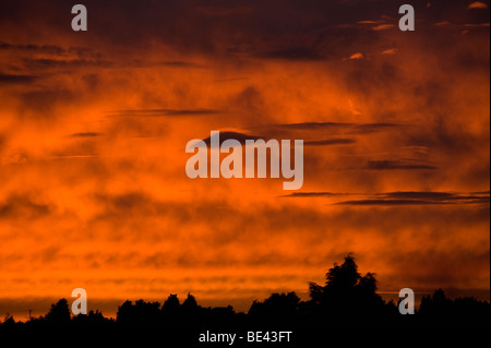 Lenticular clouds pictured against a deep Red and Orange fiery sunset look almost like alien visitors in the sky Stock Photo