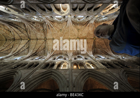 A visitor looks over the magnificent interior of Worcester Cathedral in Worcester city centre with it's high vaulted ceiling Stock Photo