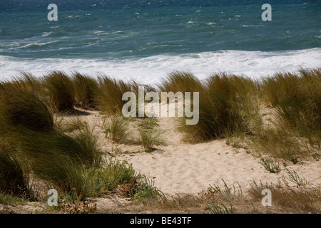The sand dunes by the  beach at Lacanau Ocean on the Atlantic south west coast of France in the Bordeaux region. Stock Photo