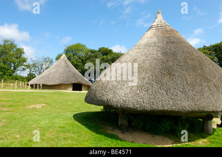 Castell Henllys Iron Age Fort, near Newport, Pembrokeshire, Wales Stock Photo