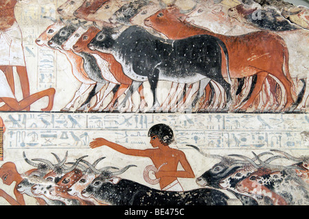Egyptian wall painting, Nebamun viewing his cattle - British Museum Stock Photo