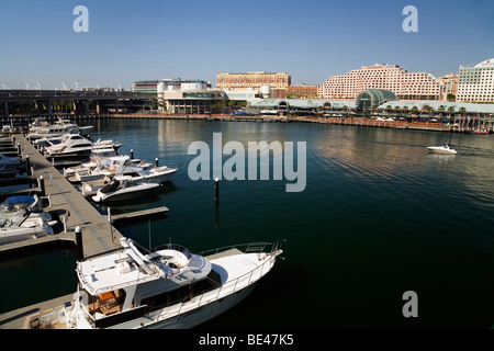 Marina at Cockle Bay. Darling Harbour, Sydney, New South Wales, AUSTRALIA Stock Photo