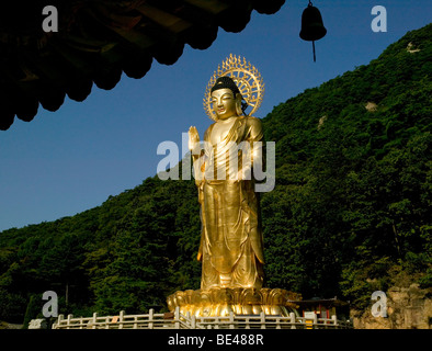 Republic of Korea, Songnisan National Park, Beobjusa Temple, 33 metre gold-plated Maitraya Buddha statue Stock Photo