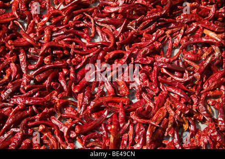 Korea, dried Korean red chili pepper Stock Photo