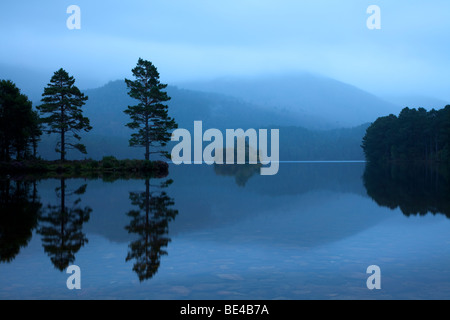 Early morning view across Loch an Eilein and Rothiemurchus Forest in the Scottish Cairngorms part of the Rothiemurchus Estate Stock Photo