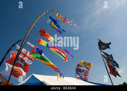 Flags and kites blowing in the wind, International Kite Festival, Bristol, UK Stock Photo