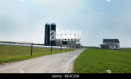 Amish farm, Pennsylvania Dutch Country, USA. Stock Photo