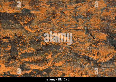 Rust Coloured Patterns On The Metamorphic Rock Slate. Taken In Soweto, Johannesburg, South Africa Stock Photo