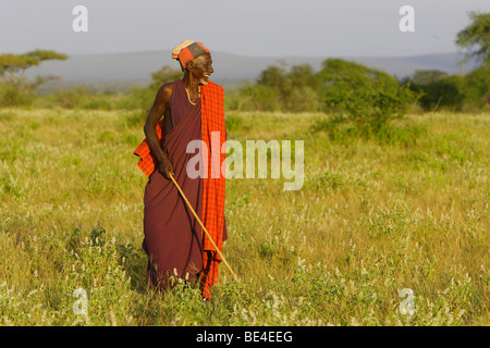 Tribal elder, Masai, Masai steppe, North Tanzania, East Africa Stock Photo