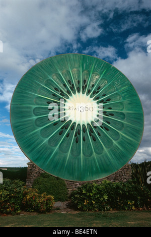 Giant Kiwi, Te Puke, Bay of Plenty, North Island, New Zealand Stock ...