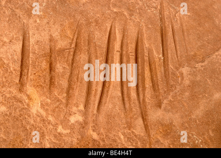 Workplace of the Anasazi Indians with grinding grooves in red sandstone, Cold Springs Cave near Bluff, Utah, USA Stock Photo